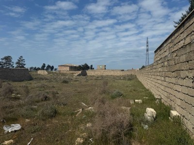 image 373540