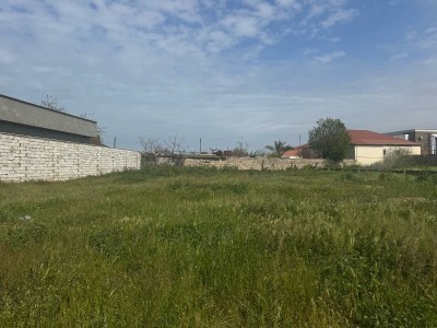 image 373543