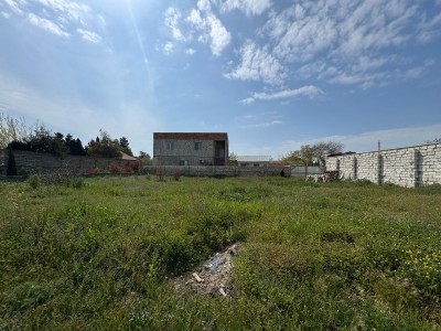 image 373543
