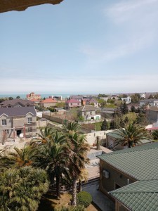 image 373570