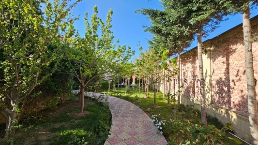 image 373604