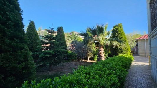image 373604