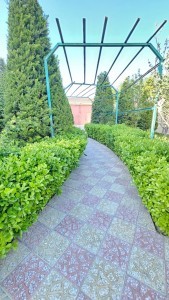image 373604