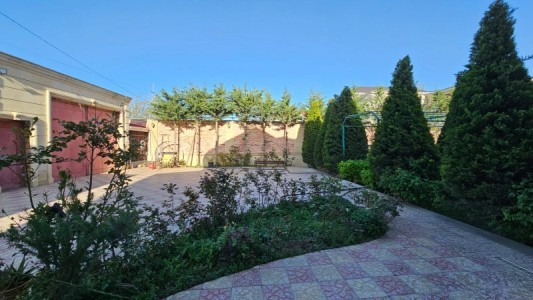 image 373604