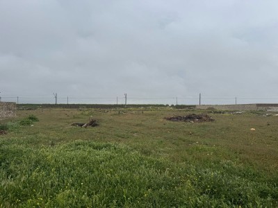 image 373613