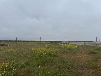 image 373613