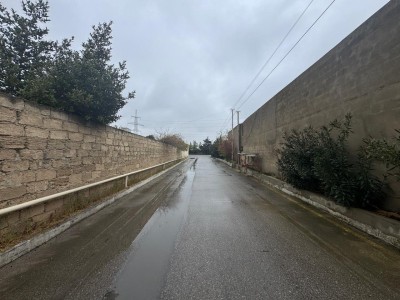 image 373647