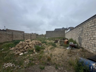 image 373647