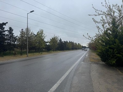 image 373647