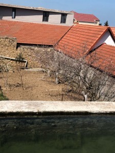 image 373660