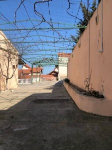 image 373660