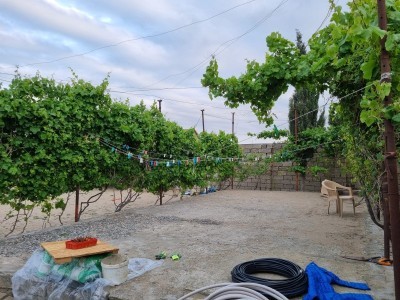 image 373688