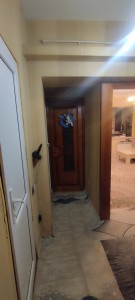 image 373712