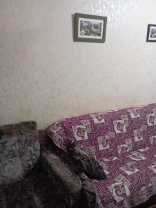 image 373738