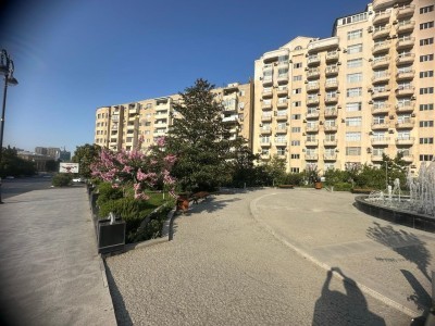 image 373746