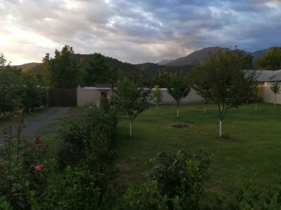 image 373758