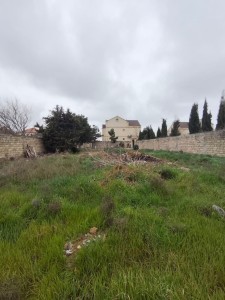 image 373774