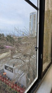 image 373782