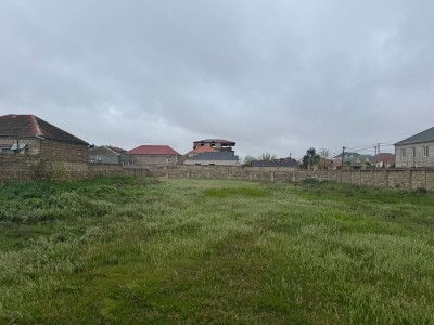 image 373786