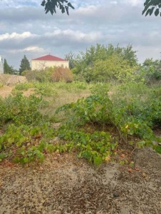 image 373820
