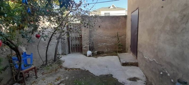 image 373824