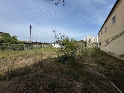 image 373830