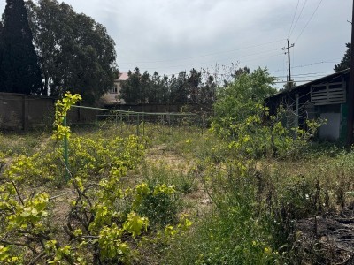 image 373830