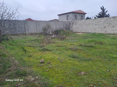 image 373847