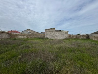 image 373875
