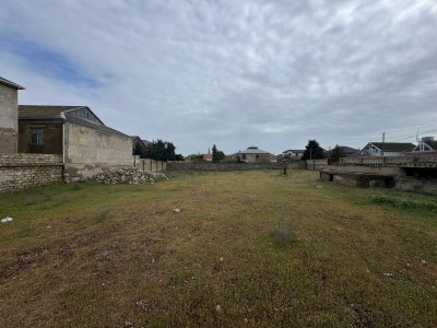 image 373881