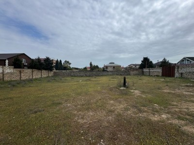 image 373881