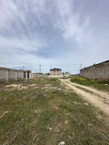 image 373911