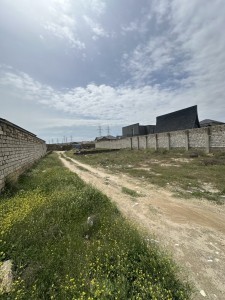 image 373911