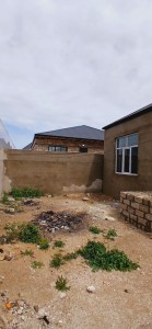 image 373916