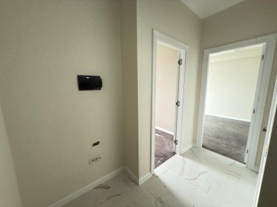image 373959