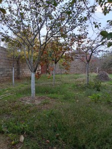image 373970