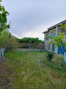 image 373970