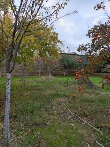 image 373970