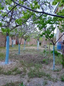 image 373970