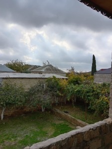 image 373970