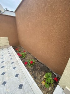 image 373986