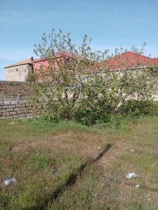 image 374068