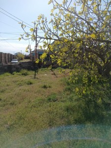 image 374075