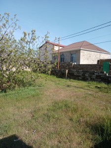 image 374075