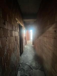 image 374167