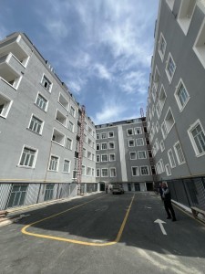 image 374167