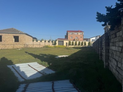 image 374176