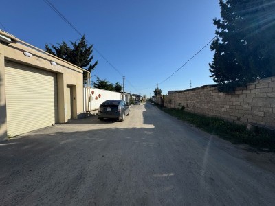 image 374176
