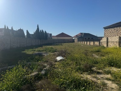 image 374176