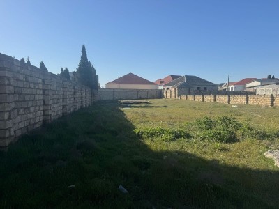 image 374176